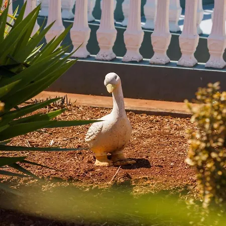 Guestready - Typical Place In Maison d'hôtes Funchal (Madeira)
